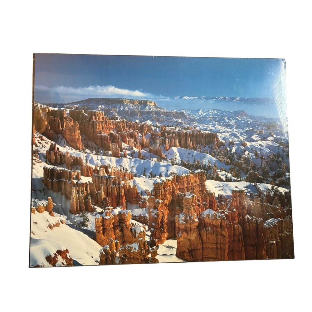Vintage 16x20 Ready to Hang or Frame Print New Snow on the Grand Canyon